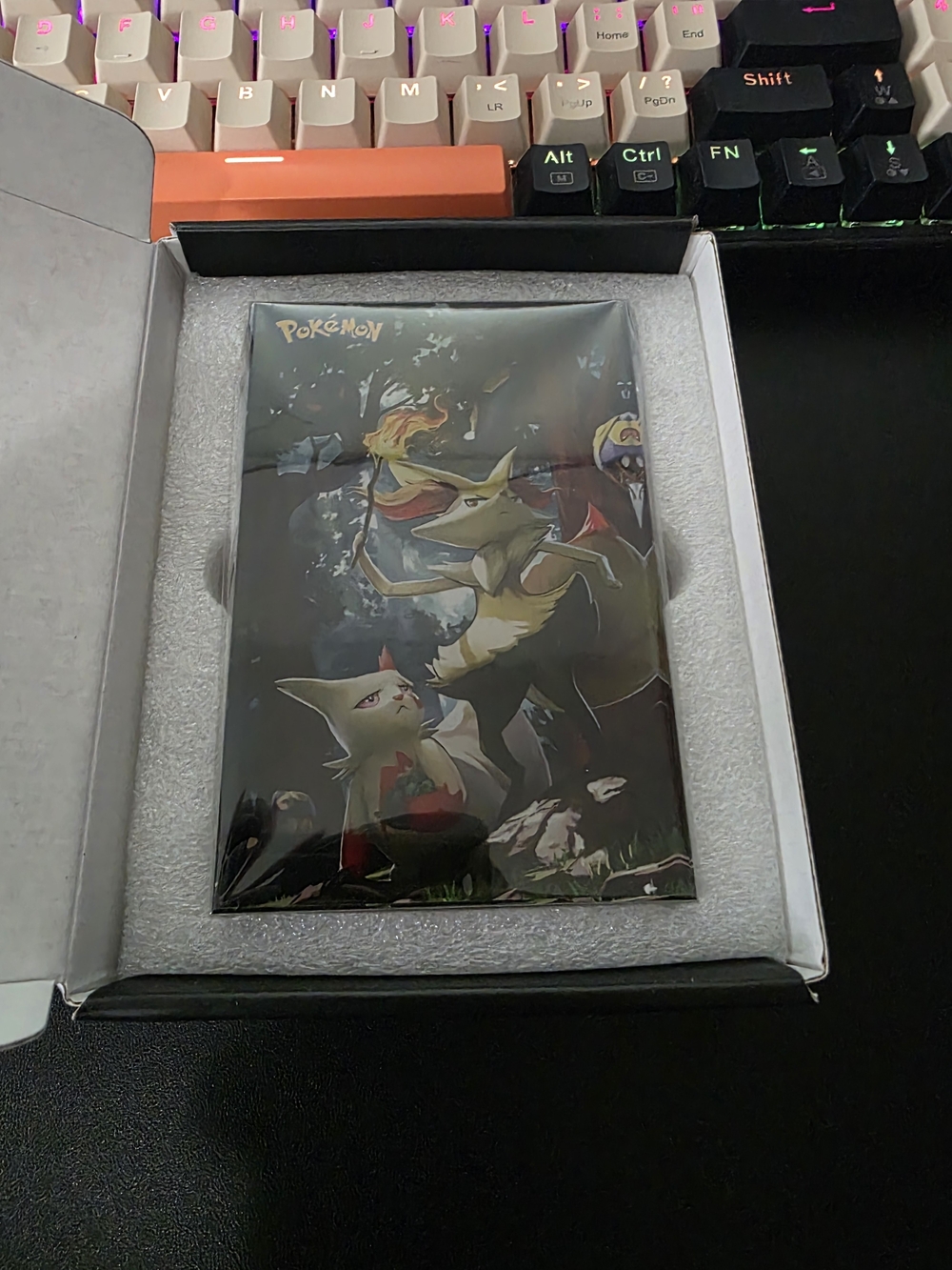Pokemon Acrylic Art Block